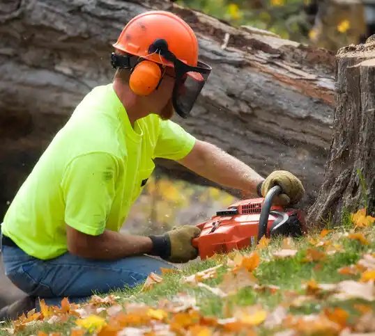 tree services Severn